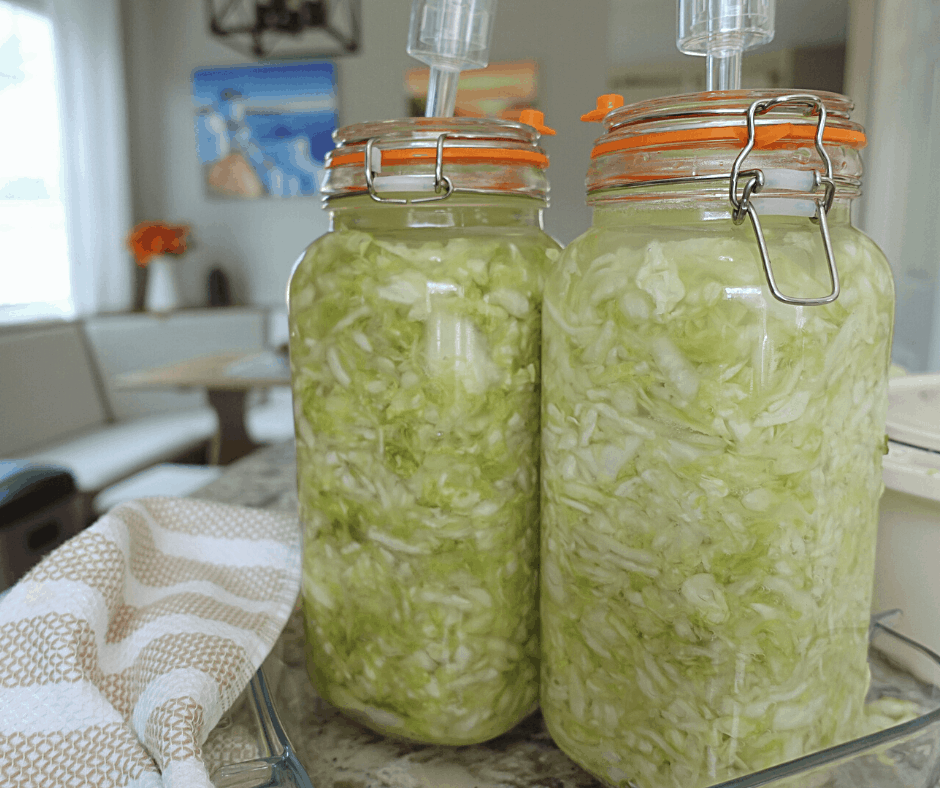 sauerkraut lacto fermented in fermenting mason jars and tea towel