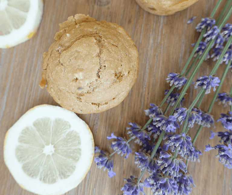 Sourdough Discard Muffins – Base Recipe