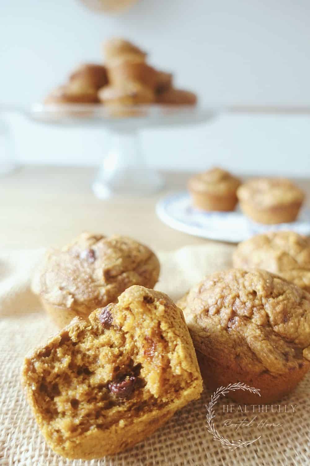 sourdough pumpkin muffin with chocolate chips broken in half with a bunch of other muffins in the back on a cake stand