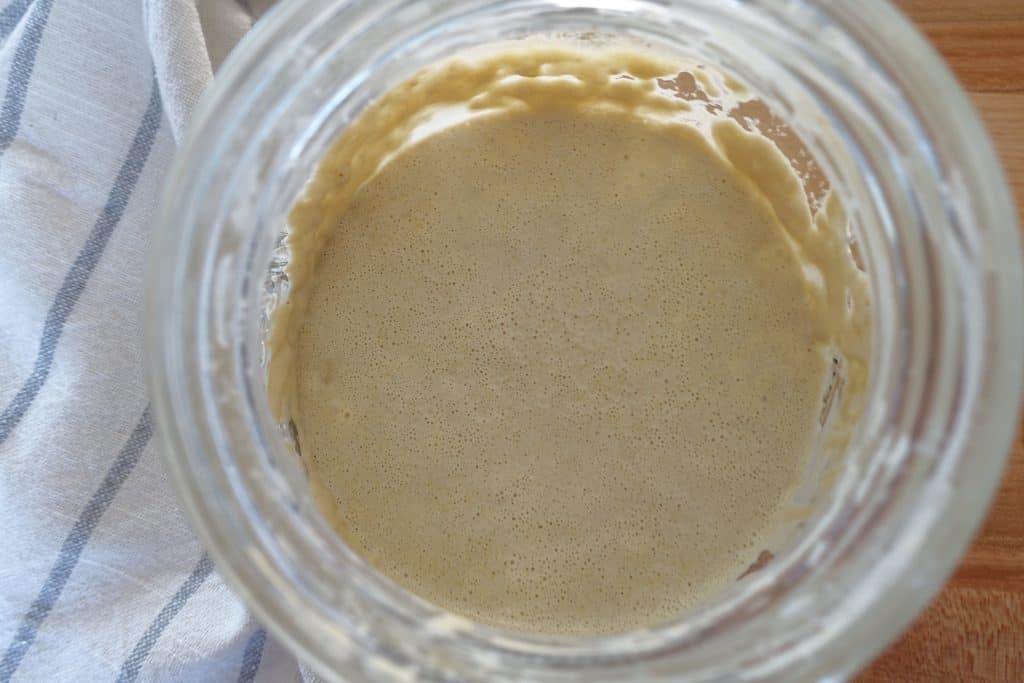 natural yeast sourdough starter day 6 bubbles with striped tea towel