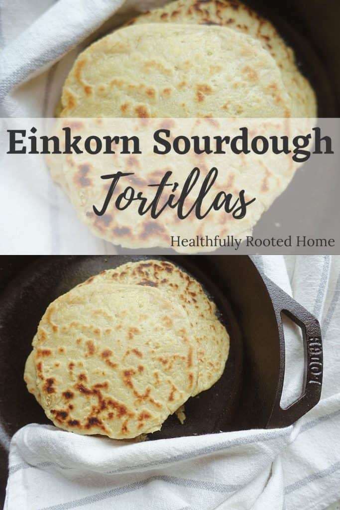 Einkorn tortillas are the perfect combination of fluffy on the inside and slightly crispy on the outside. Using only simple ingredients these tortillas can be frozen for later, or eaten right away. They are easily digestible because of the ancient grain, einkorn, and they're long fermented for even more health benefits.