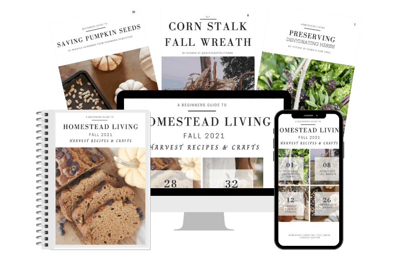 free ebook homestead living fall edition