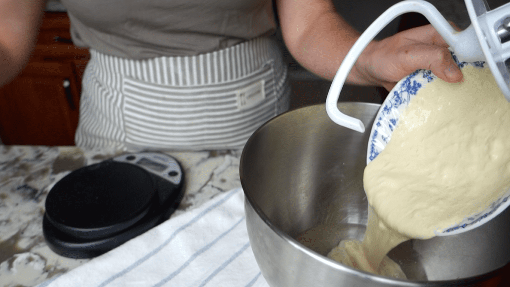 adding sourdough starter intro the bowl of a kitchenaid stand mixer
