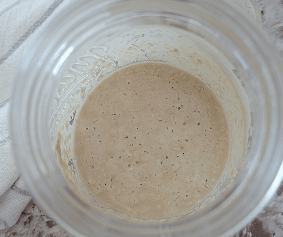 making natural yeast day two starter has bubbles