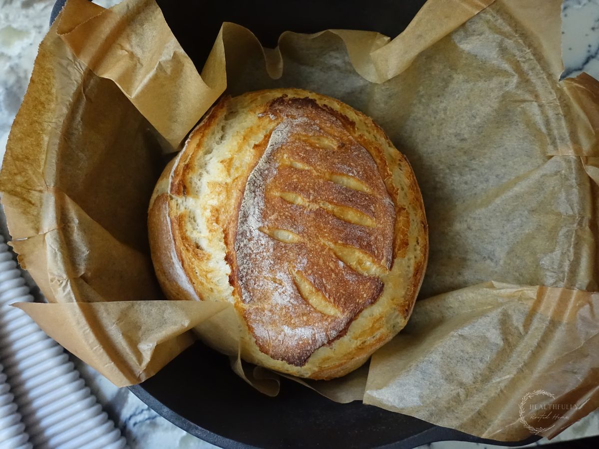 after baking sourdough discard bread while it's still in the dutch oven