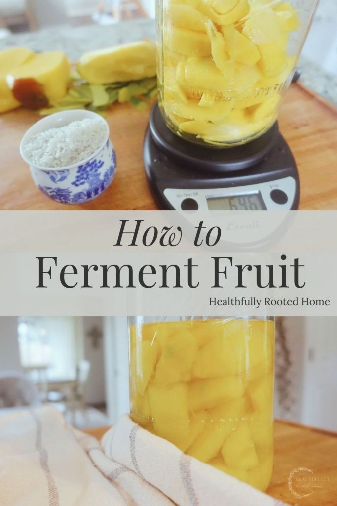 fermented mangos on a kitchen scale 