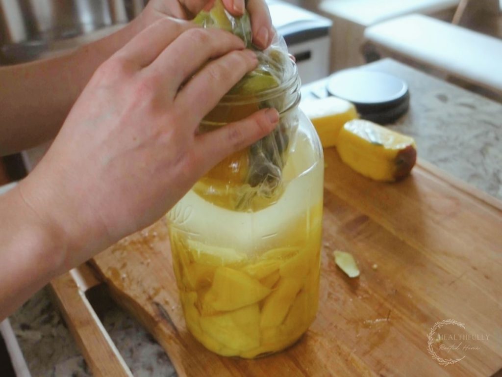 inserting the bag of mango cores into the jar of water salt and mangos to make fermented fruit