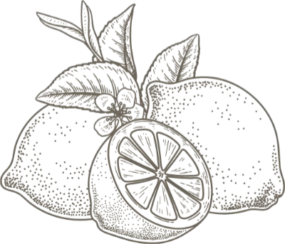 Lemons Illustration