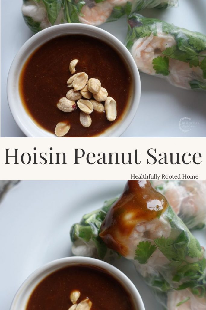 Hoisin peanut sauce recipe
