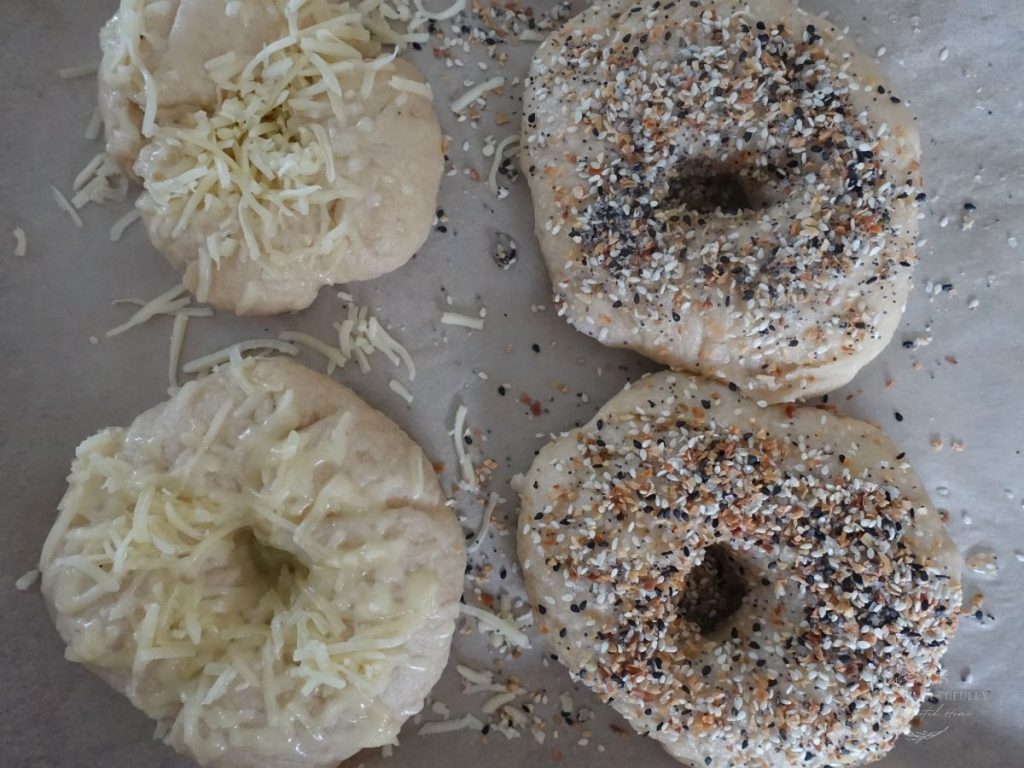 sourdough discard bagels after being boiled and topped ready for baking