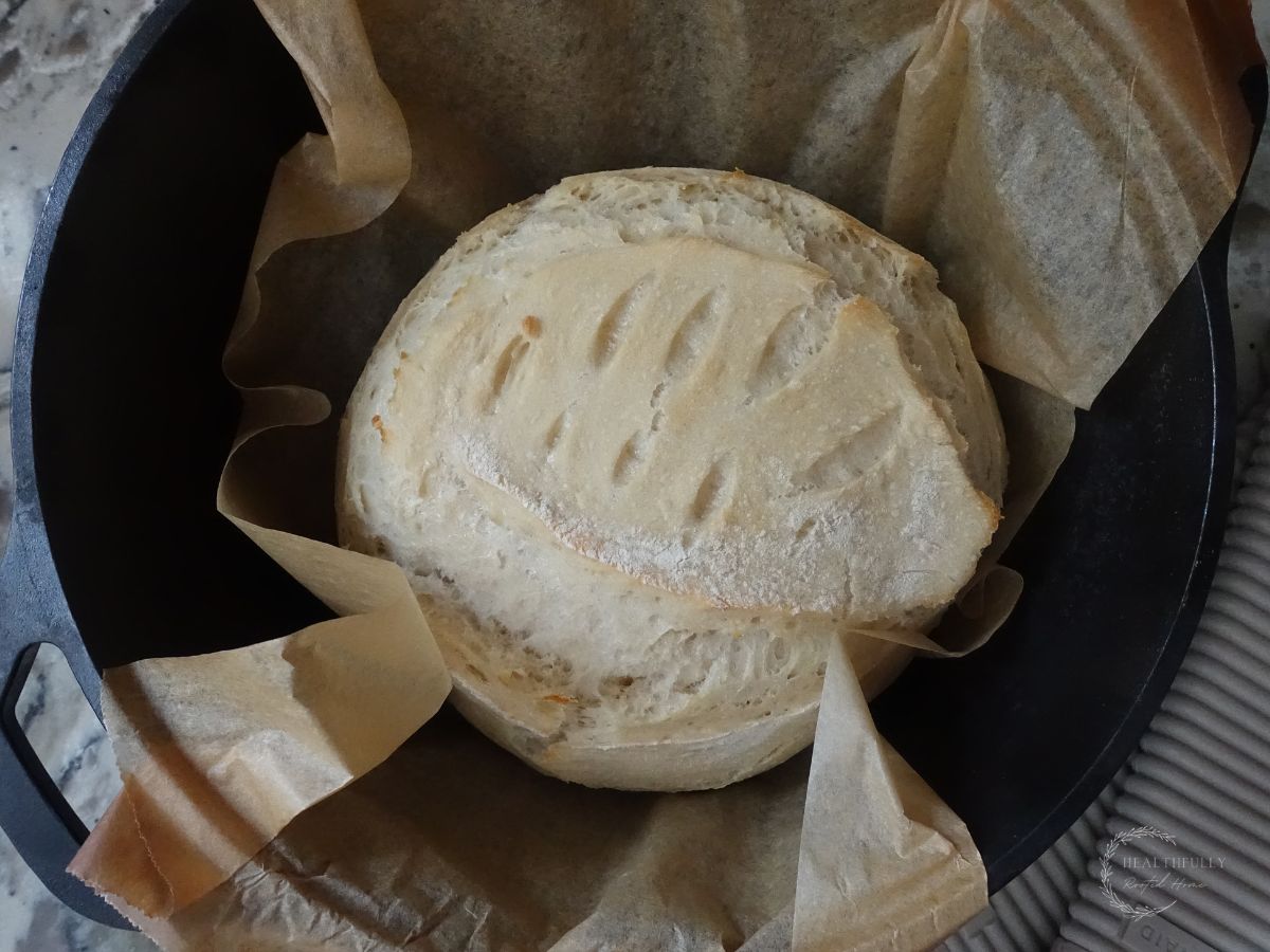 after the initial 15 minute baking period with the lid on sourdough discard bread loaf in a dutch oven