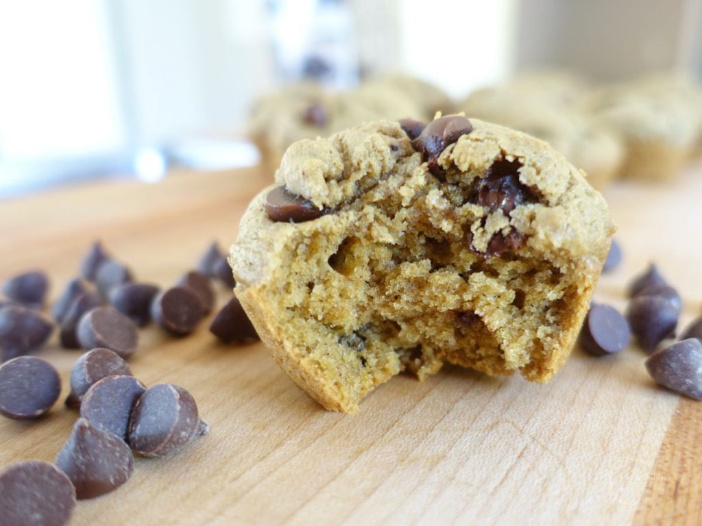 chocolate chip sourdough discard muffin with a bite taken out and chocolate chips surrounding it