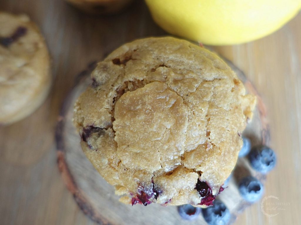 lemon blueberry sourdough discard muffins with blueberries and lemons surrounding it