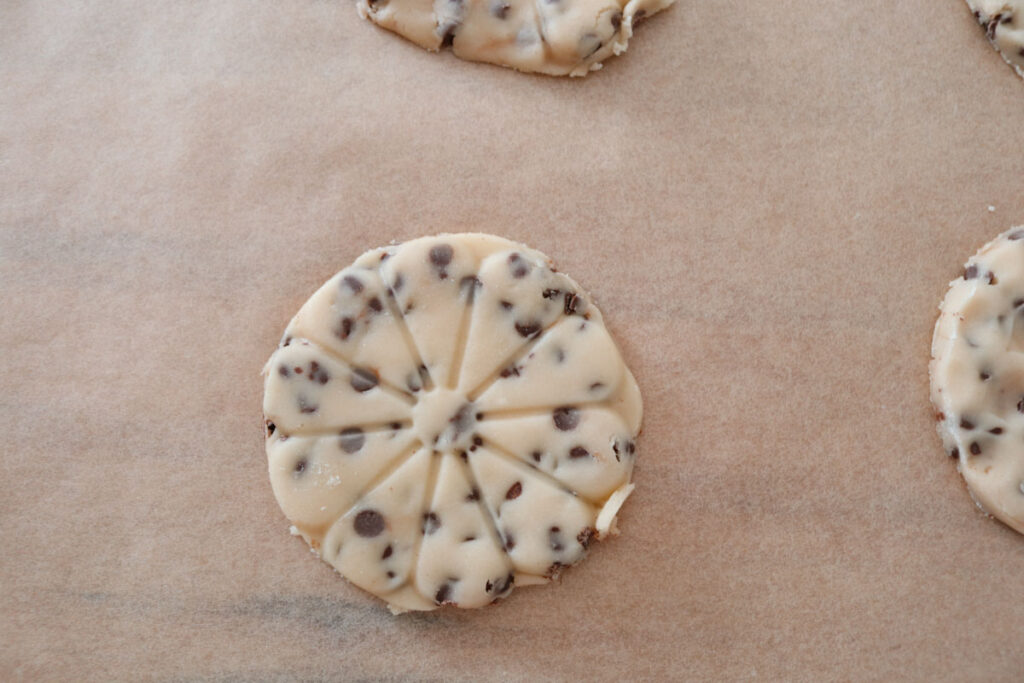 chocolate chip sugar cookie rolled out and cut into a circle ready to be baked