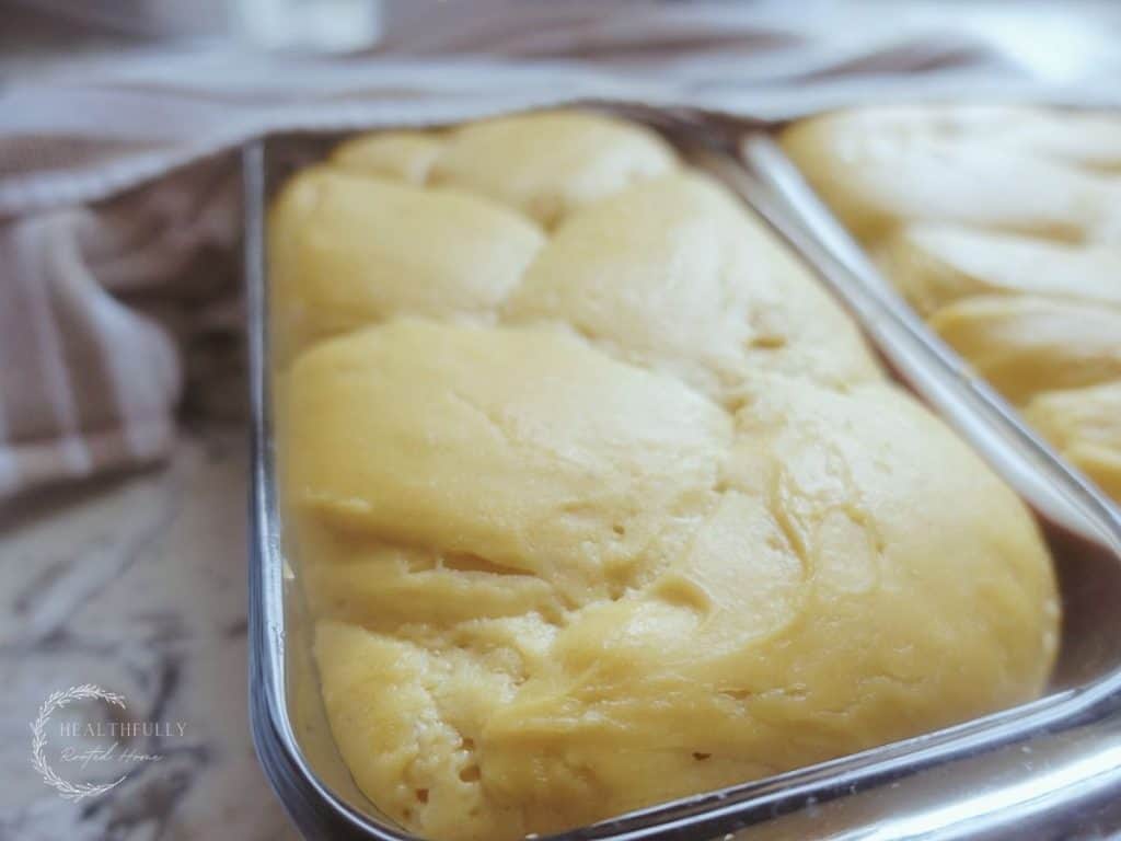 einkorn sourdough sandwich bread loaf after rising in loaf pan puffed up over sides