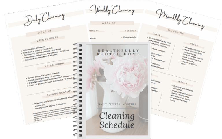 cleaning schedule from healthfully rooted home with a daily monthly and weekly schedule laid out as a stack of papers