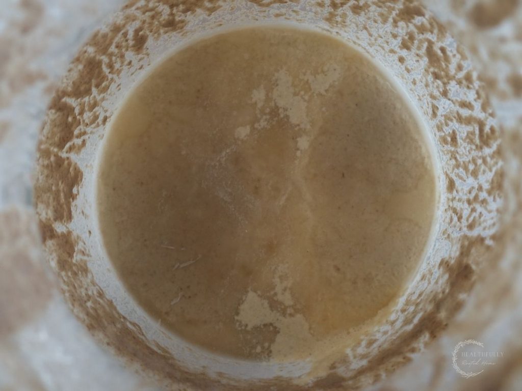 hooch formed on top of a sourdough starter that still has not gone bad