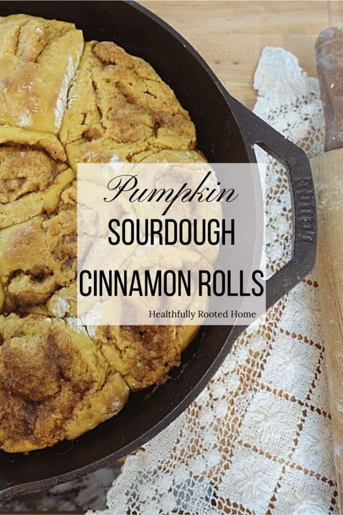These pumpkin sourdough cinnamon rolls are the perfect Fall treat! They can be glazed with my Maple Pecan Frosting to make them even more divine.