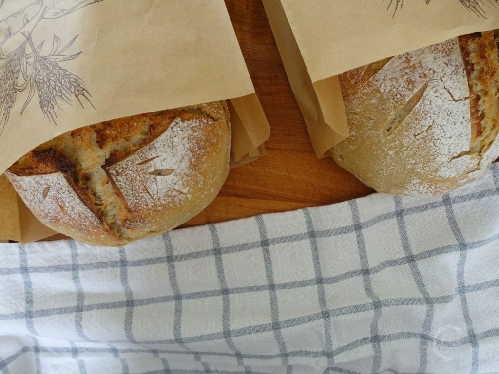 sourdough loaves stored in brown paper bags with a white and blue tea towel underneath and half of the bread peaking out of the bags