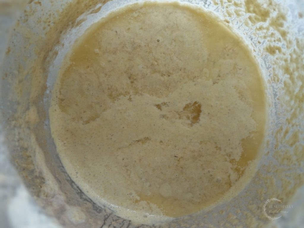 sourdough starter with liquid on top