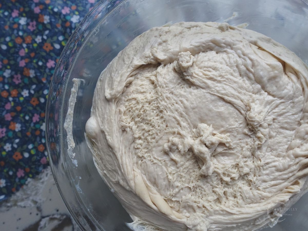 long fermented sourdough pretzel dough in a glass bowl after having fermented for 12 hours