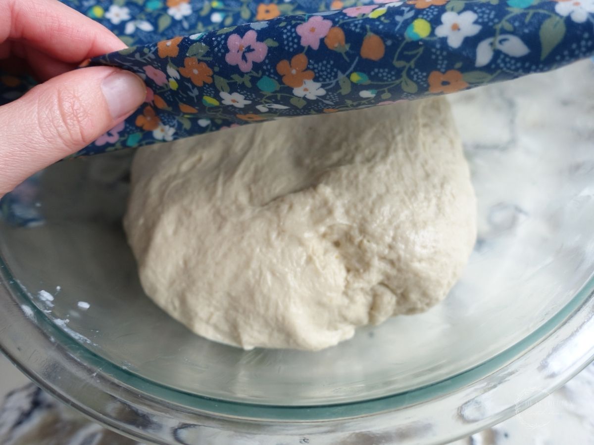 sourdough pretzel dough after kneading and before fermentation with beeswax wrap overtop